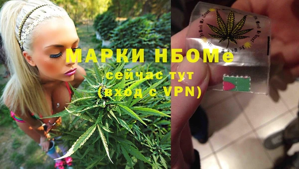 не бодяженный Новодвинск