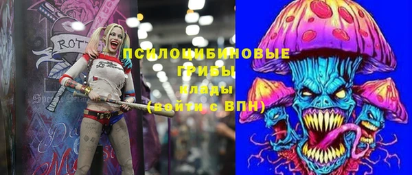 не бодяженный Новодвинск