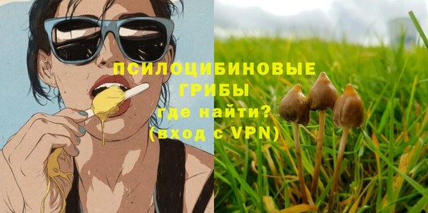 бошки Новокубанск