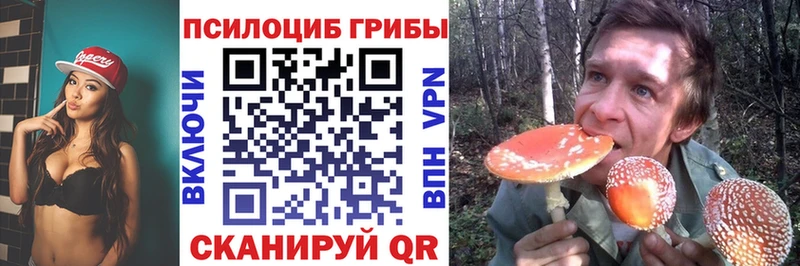 ссылка на мегу ONION  наркота  Полысаево  Галлюциногенные грибы ЛСД 